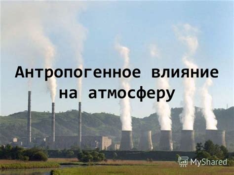 Влияние туи на привлекательность и атмосферу околодомовой территории