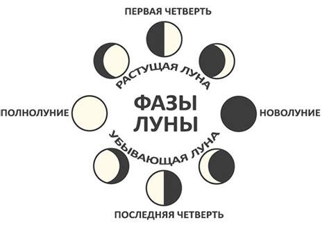 Влияние убывающей луны на цены и качество товаров