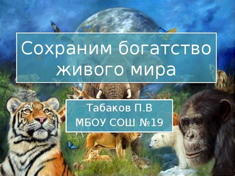 Влияние удивительного географического своеобразия на климат и богатство живого мира