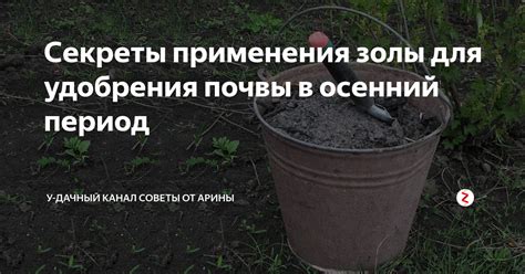 Влияние удобрения почвы в осенний период на ее состояние