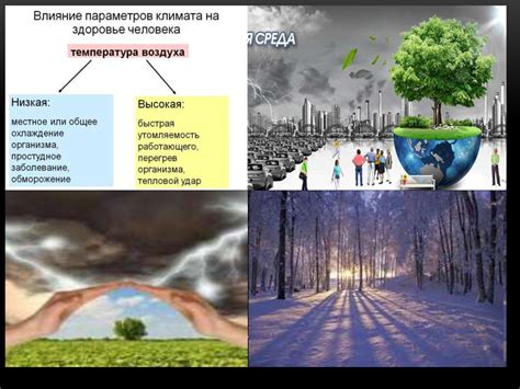 Влияние уничтожения природных экосистем на климат