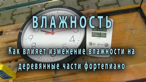 Влияние уровня влажности на сезон сбора лесных продуктов в сентябре