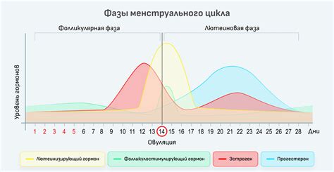 Влияние фазы цикла на технику и результаты лапароскопических операций