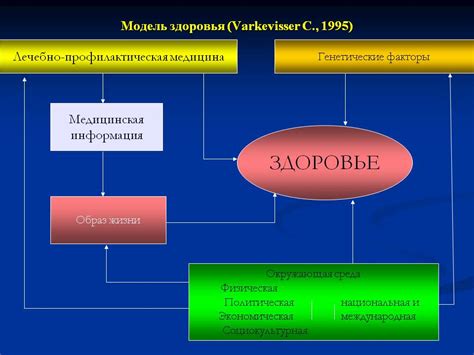 Влияние факторов на формирование условного контура