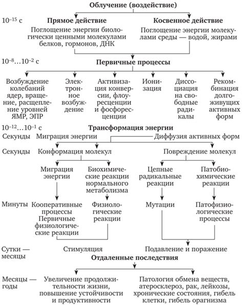 Влияние физических факторов на проявление стука в двери