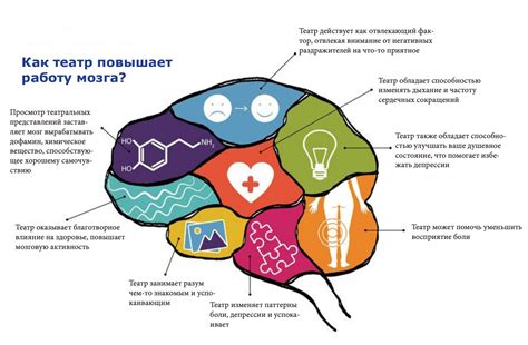 Влияние физической активности на работу мозга