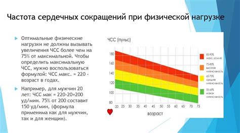 Влияние физической активности на работу сердца при нарушении сердечного ритма