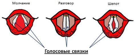 Влияние хронических заболеваний на состояние голосовых связок