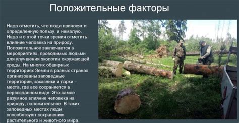 Влияние человека: невнимательность и ее последствия для ухоженности садовой зоны