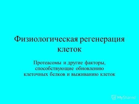 Внешние факторы, способствующие формированию репродуктивных клеток спором