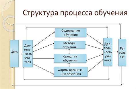 Внешний вид и структура: особенности и компоненты