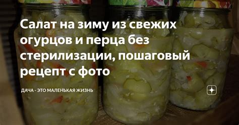 Вода и витамины: общие благоприятные свойства свежих огурцов и ароматного перца