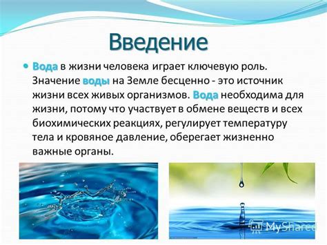 Вода и ее роль в обмене веществ клеток