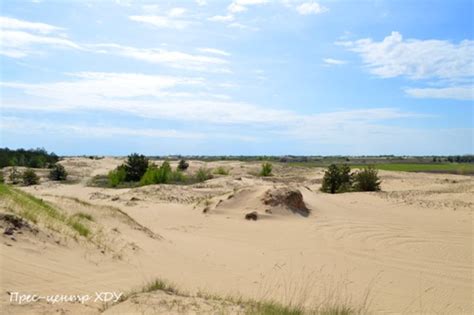 Водно-болотная зона в природном парке "Аксайские пески"