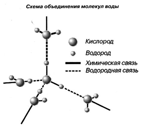 Водородная сила: ключевая составляющая в развитии структуры муравьиного раствора