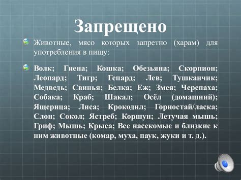 Возгласы в отношении супруги в исламе: принимаемые или запрещенные?