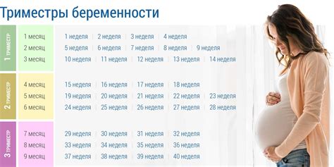 Воздействие беременности и родов на состояние поверхности живота