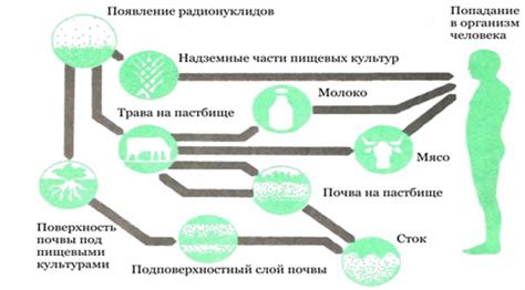 Воздействие водородных компрессов на организм: принцип действия