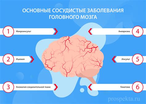 Воздействие гормонального фона на функционирование головного мозга и его когнитивные способности