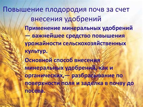 Воздействие дискования на структуру и плодородие почвы перед посевом