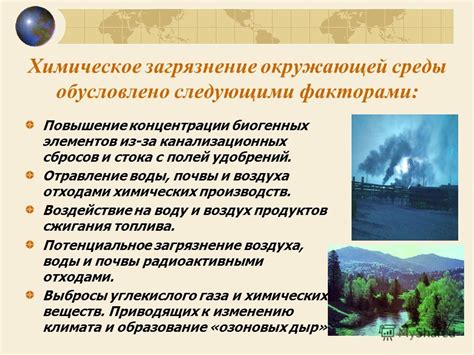 Воздействие загрязнений окружающей среды на состояние нашего организма