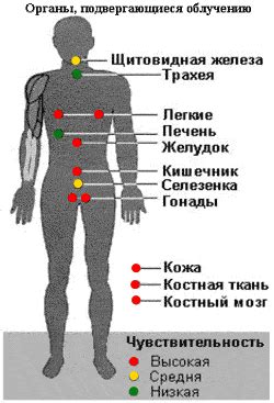 Воздействие лечения и полет на организм: возможные проявления и последствия