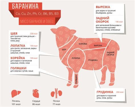 Воздействие мяса с насекомыми на организм: скрытая опасность