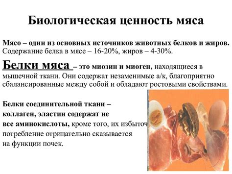 Воздействие новейших технологий на качество пищевых продуктов животного происхождения