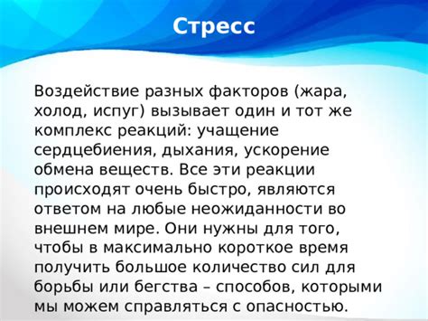 Воздействие общения с животными на психологическое благополучие