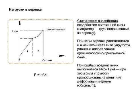 Воздействие постоянной нагрузки на здоровье ноги