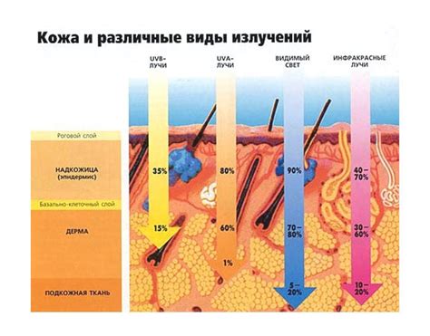 Воздействие солнечных лучей на кожу лица