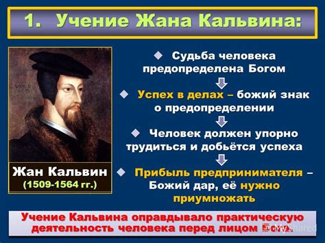 Воззрения Жана Кальвина: обзор основных принципов его учения
