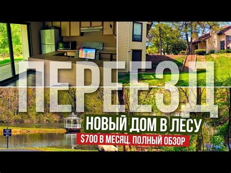 Возле природы: известные курортные поляны в ближайшем пригороде Москвы