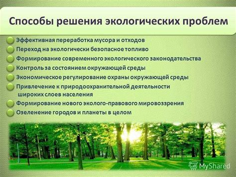 Возможности восстановления бездомных псов и поддержание экологического баланса