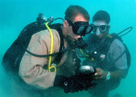 Возможности для подводного плавания и наблюдения за морской жизнью