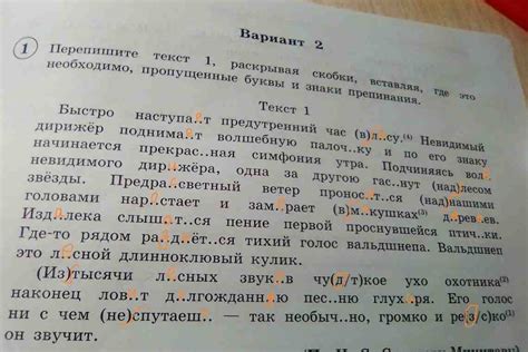 Возможности инструмента для распознавания и исправления пунктуационных ошибок