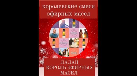 Возможности и преимущества превосходного облачения Соколиного короля