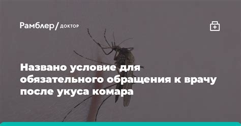 Возможность передачи инфекций при укусе комара