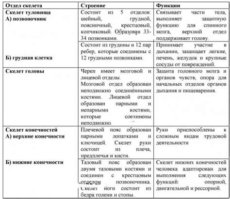 Возможность сочетания учебы с трудовой деятельностью