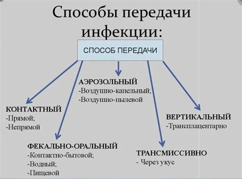 Возможные пути передачи инфекции от животных к людям