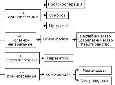 Возможные стратегии для обеспечения безопасности: создание замкнутых экосистем