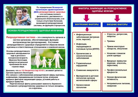 Возможные факторы, влияющие на репродуктивное здоровье мужчин при наличии сахарного диабета