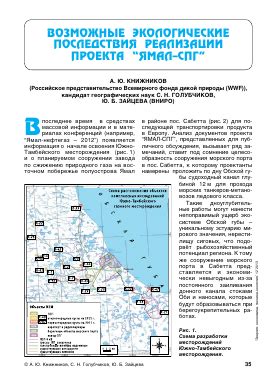 Возможные экологические последствия установки ветрогенераторов в прибрежных зонах