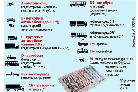 Возраст начала водительского стажа для разных категорий транспортных средств