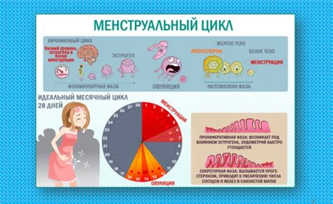 Возраст начала месячных у девочек: первая менструация