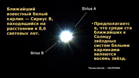 Восемь околоцветных звёзд