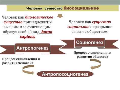 Восприятие границ мироздания и его воздействие на эволюцию нашего общества