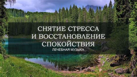 Восстановление спокойствия: сохранение внутренней гармонии в процессе поиска ключей