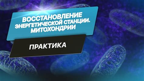 Восстановление энергетической гармонии после встречи с энергичным паразитом