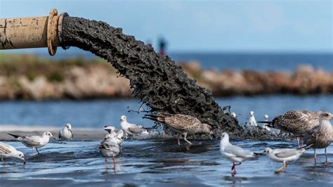 Вредность для водных жителей: как воздействует вейп на акватическую экосистему?